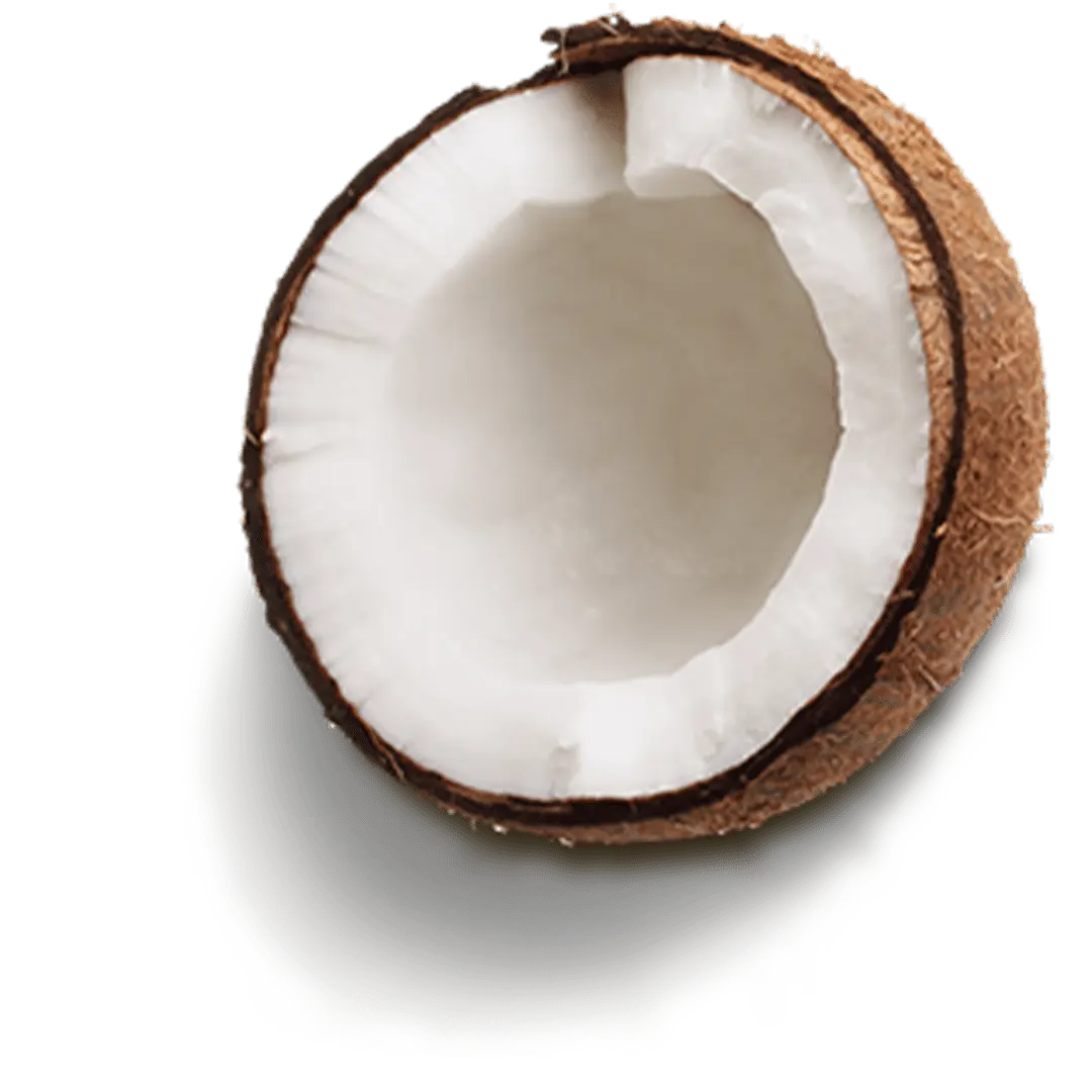 huile mct coco et cbd