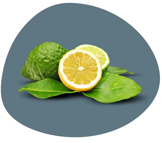 huile cbd 8% bergamote