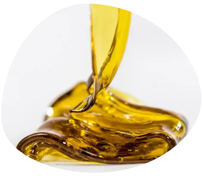 principes actifs cbd 8% actifs bergamote