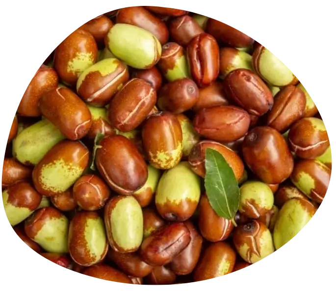 huile de jojoba cbd