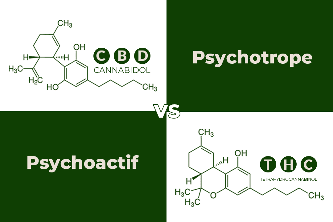 cbd et thc